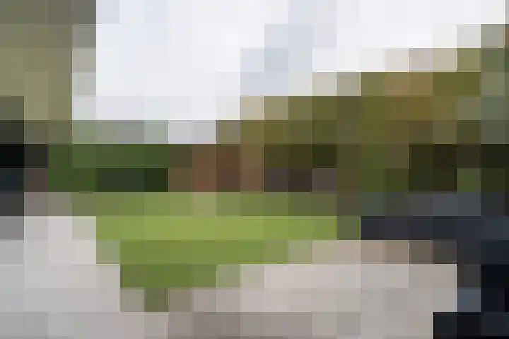 Poldermolen 67 Weert thumbnail 46