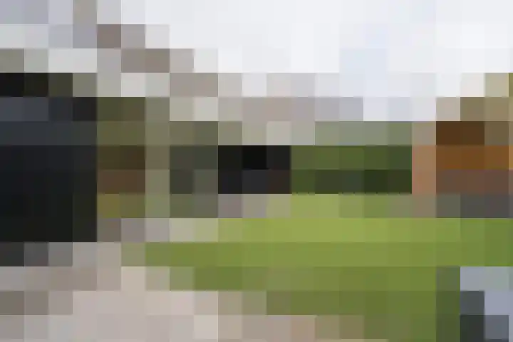 Poldermolen 67 Weert thumbnail 47