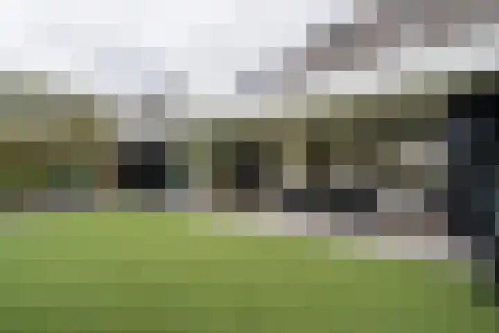 Poldermolen 67 Weert thumbnail 49