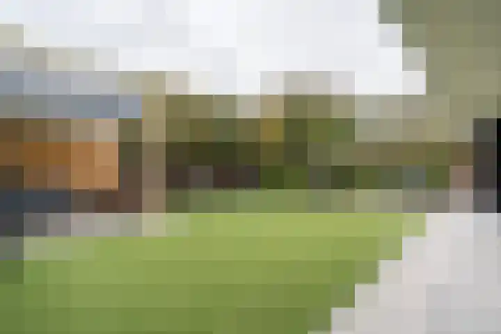Poldermolen 67 Weert thumbnail 51
