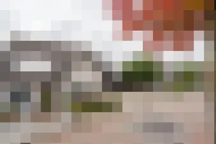 Poldermolen 67 Weert thumbnail 53