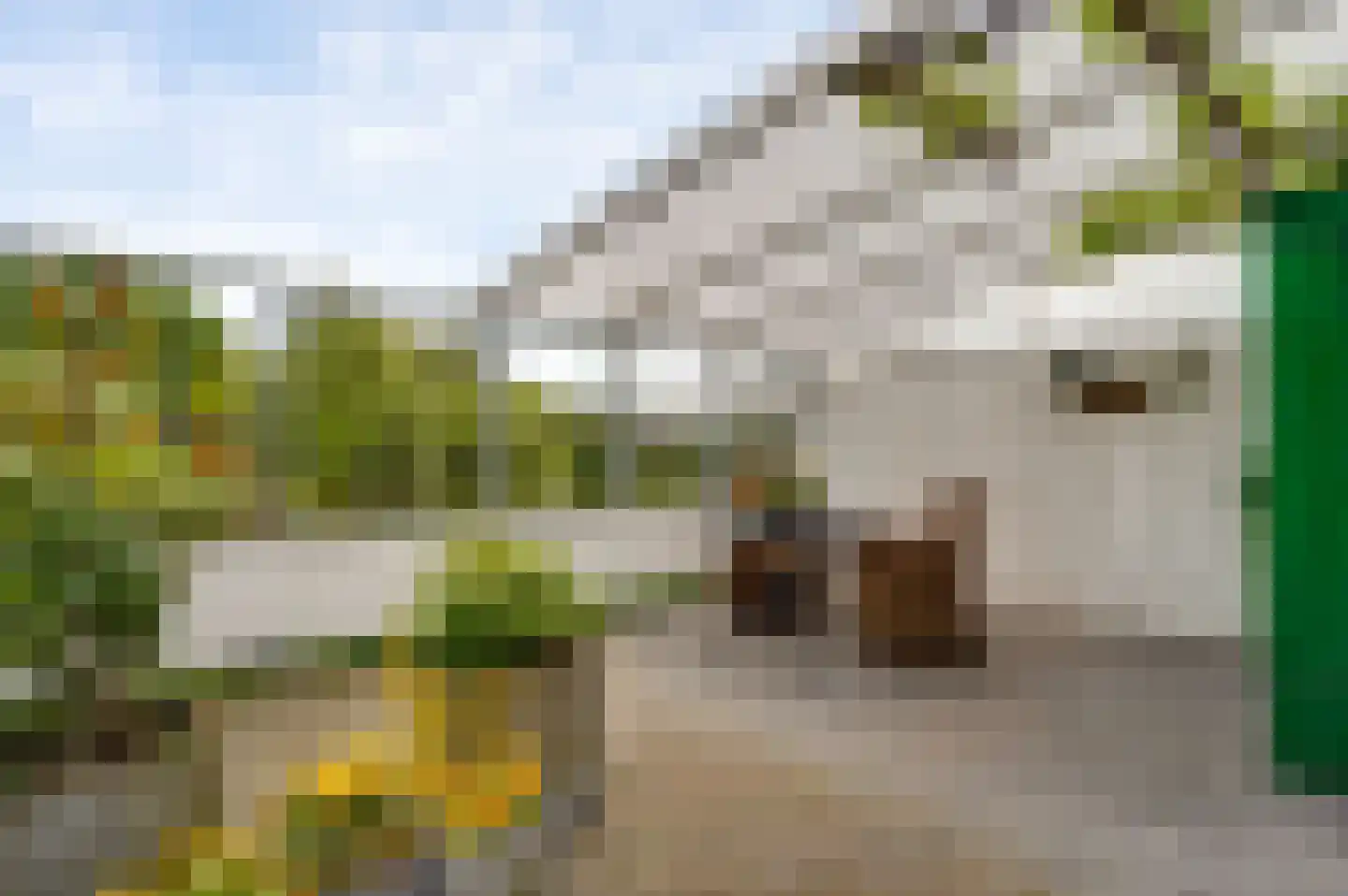 Poldermolen 68 Weert thumbnail 32