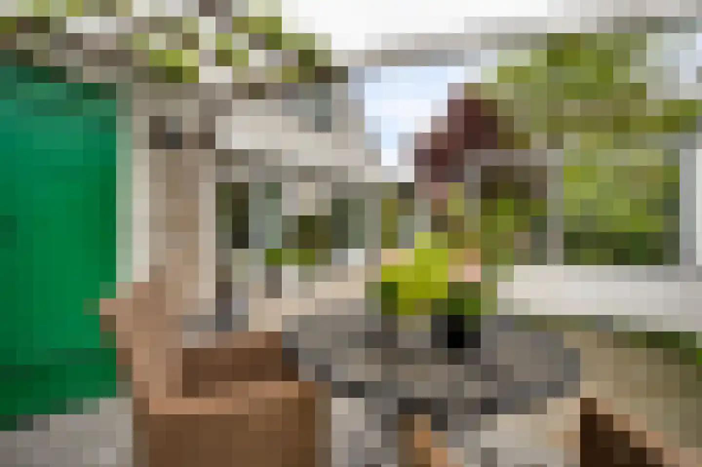 Poldermolen 68 Weert thumbnail 33