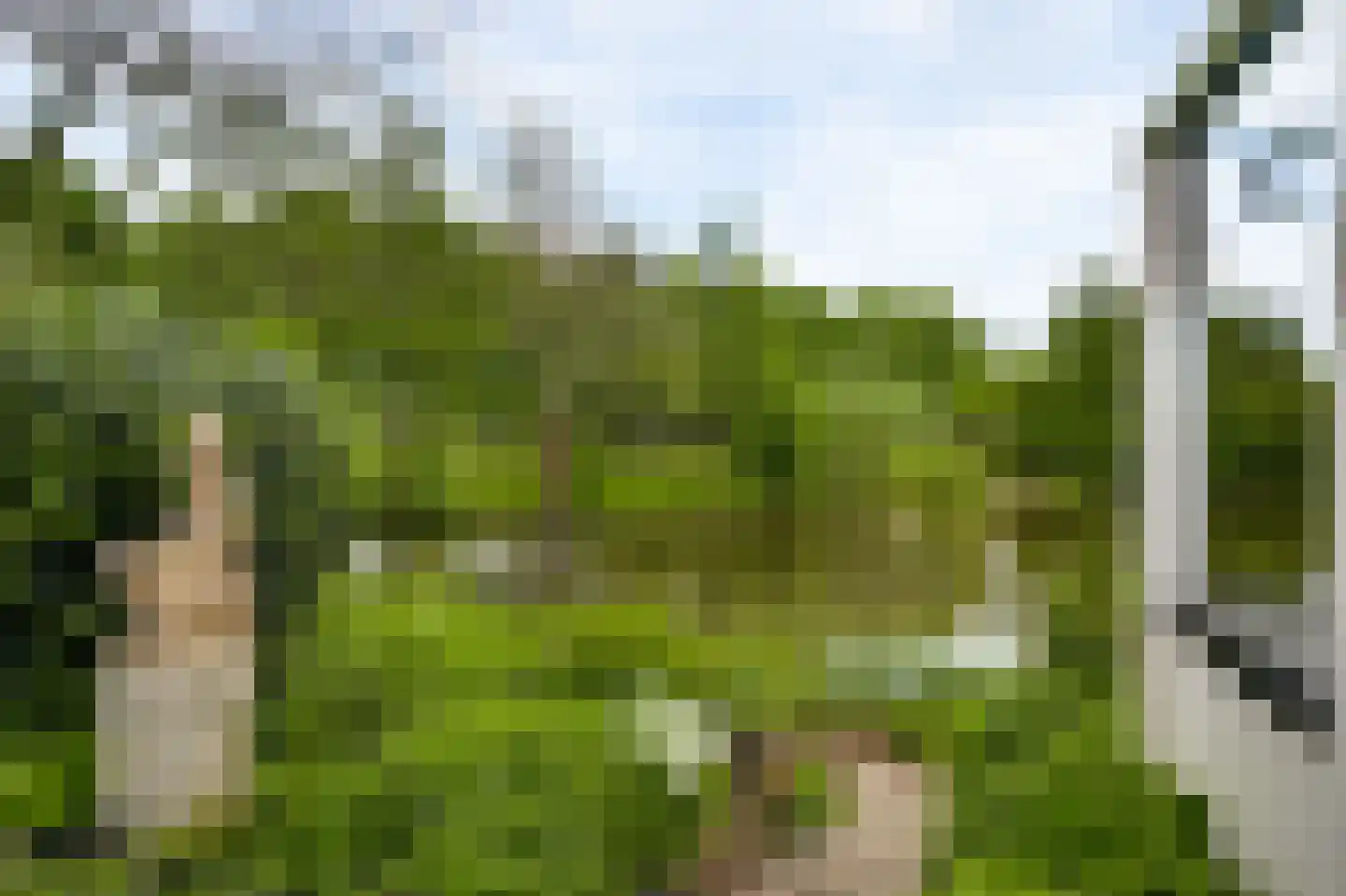 Poldermolen 68 Weert thumbnail 35