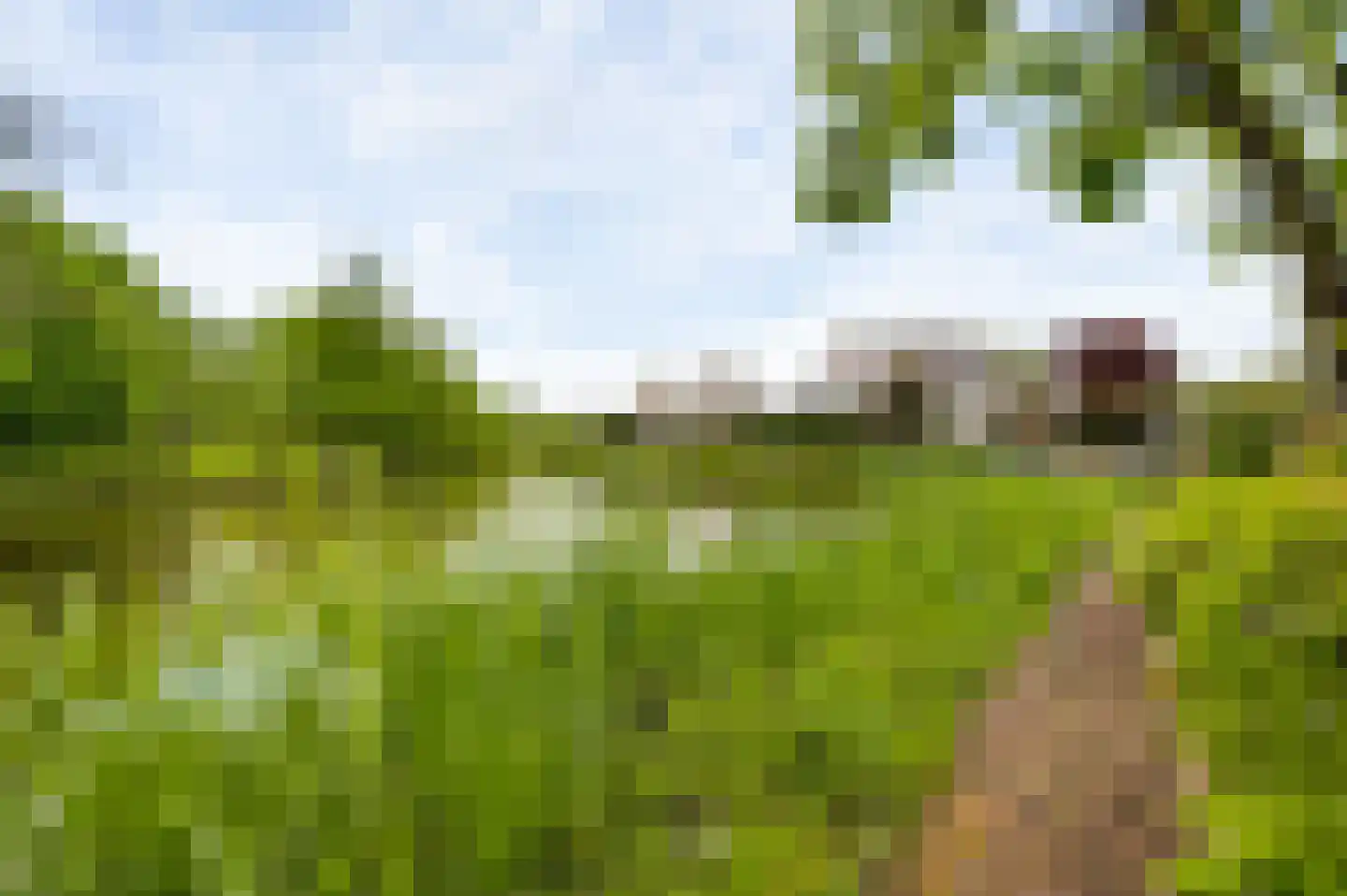 Poldermolen 68 Weert thumbnail 37