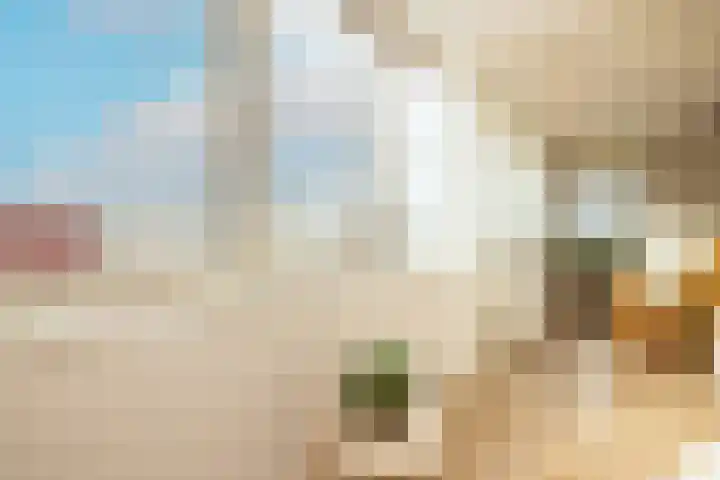 Poldermolen 7 Noordwijkerhout thumbnail 8