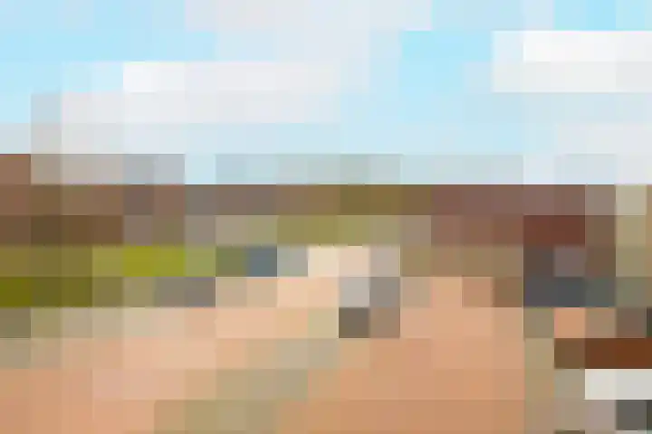 Poldermolen 7 Noordwijkerhout thumbnail 9