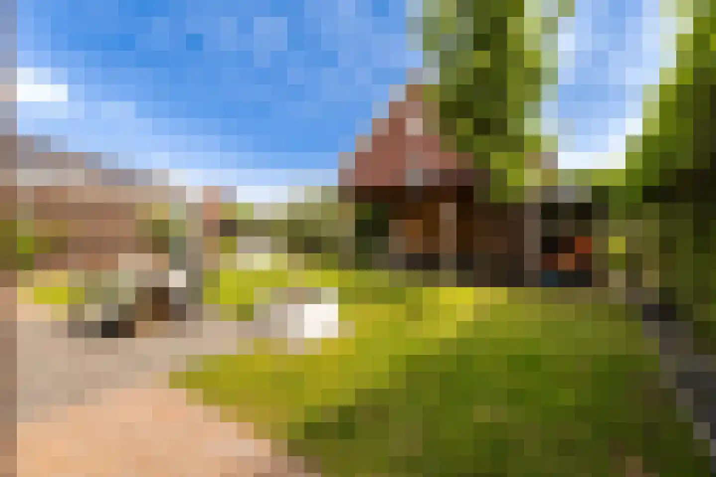 Poldermolen 8 Berkel-Enschot thumbnail 38