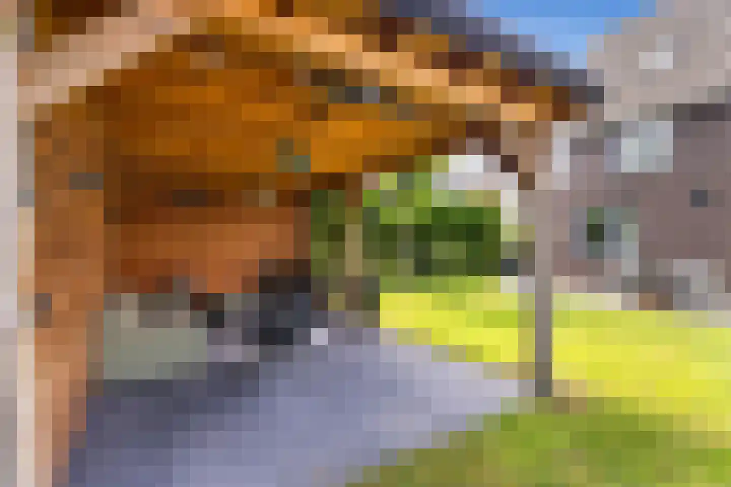 Poldermolen 8 Berkel-Enschot thumbnail 41