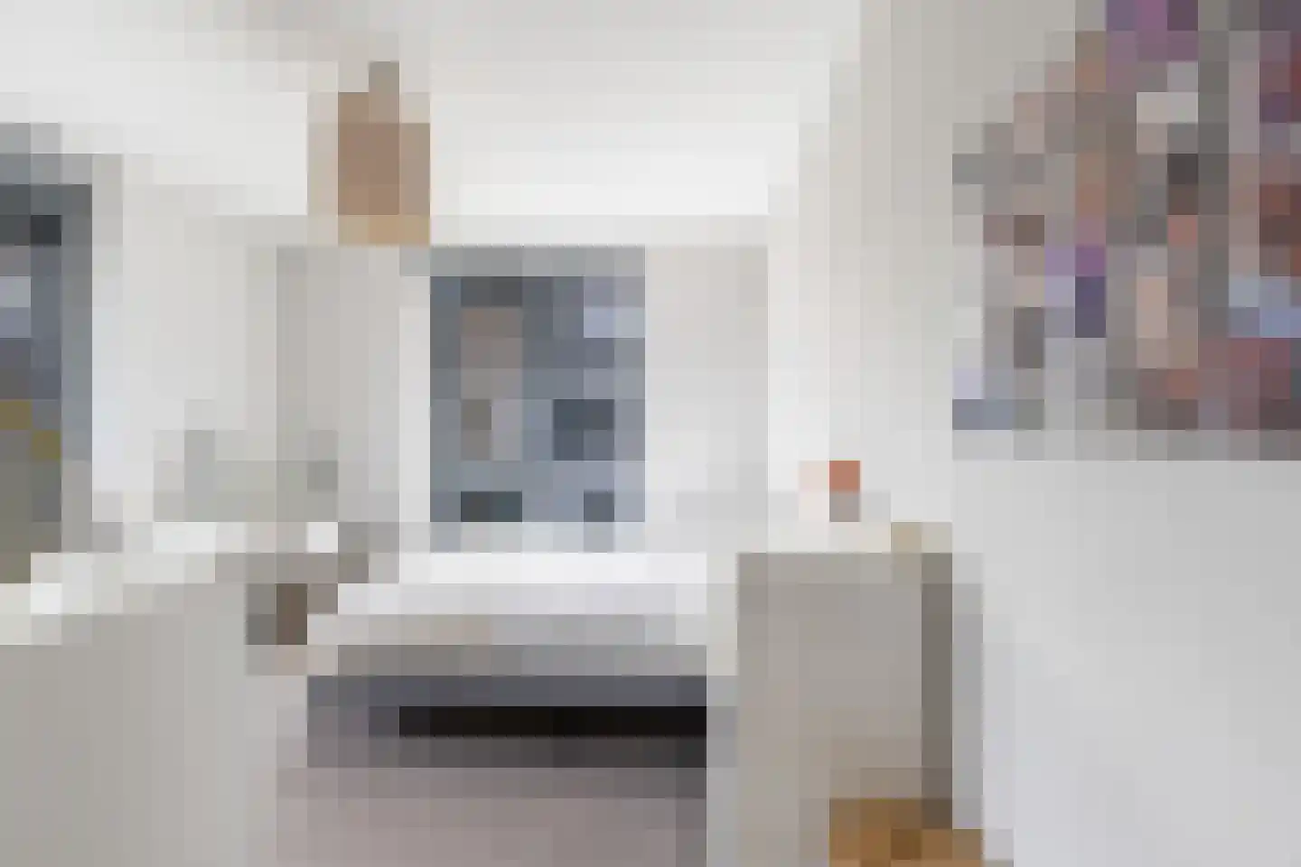 Poldermolen 8 Berkel-Enschot thumbnail 64