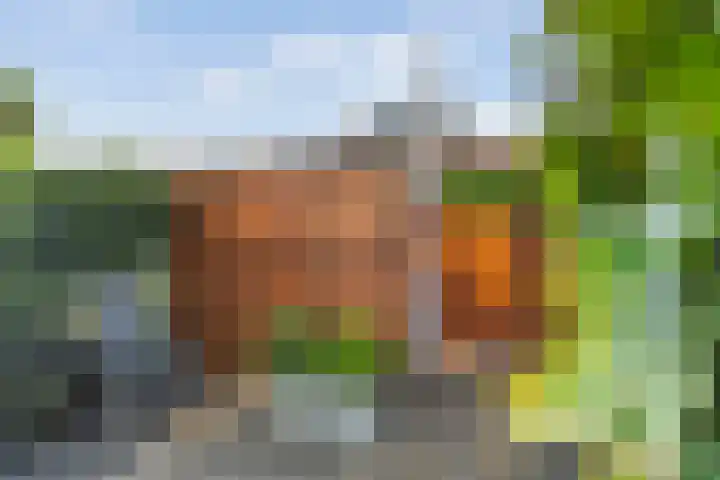 Poldermolen 8 Maassluis thumbnail 10