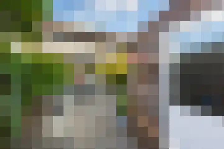 Poldermolen 8 Maassluis thumbnail 11
