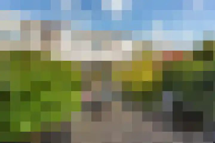 Poldermolen 8 Maassluis thumbnail 12