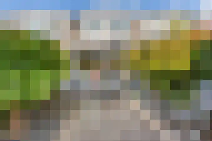 Poldermolen 8 Maassluis thumbnail 13