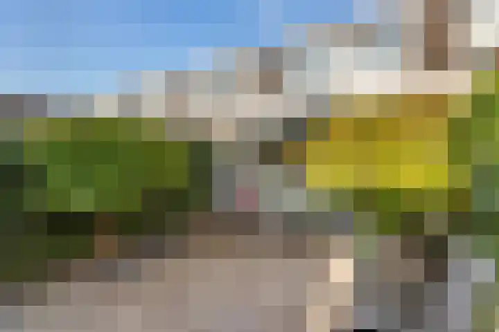Poldermolen 8 Maassluis thumbnail 14