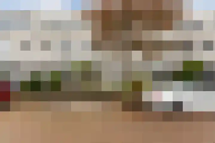 Poldermolen 8 Maassluis thumbnail 37