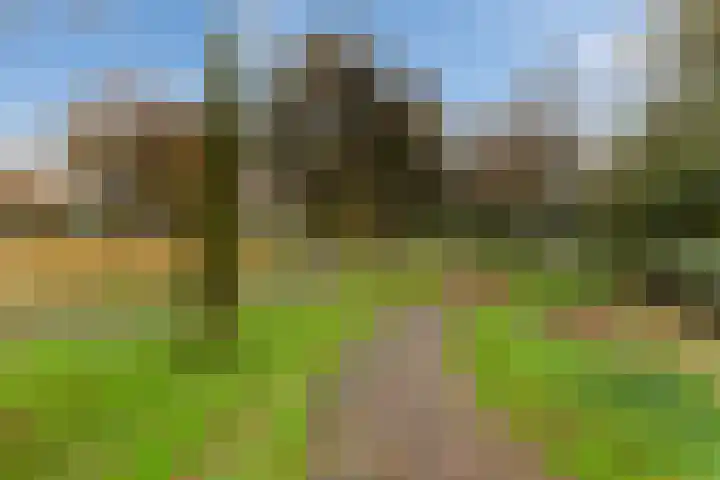Poldermolen 8 Maassluis thumbnail 43