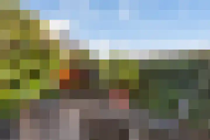Poldermolen 8 Maassluis thumbnail 8