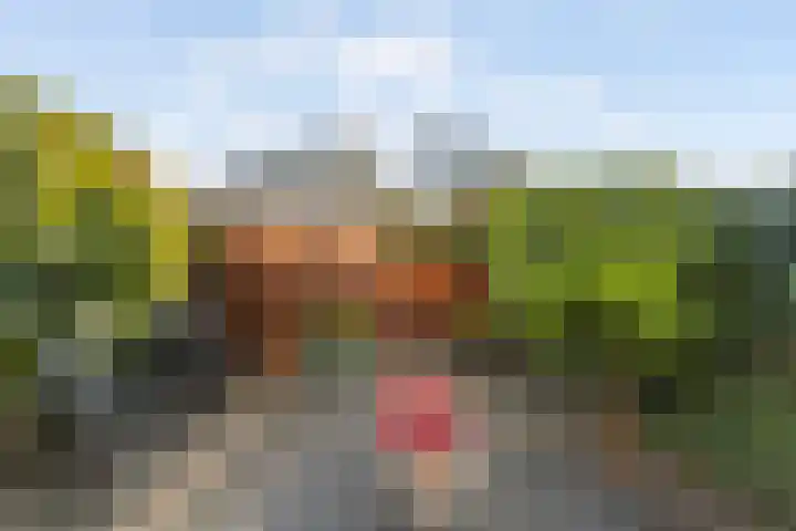 Poldermolen 8 Maassluis thumbnail 9
