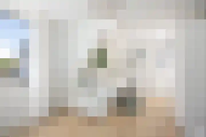 Poldermolenlaan 11 Lochem thumbnail 26