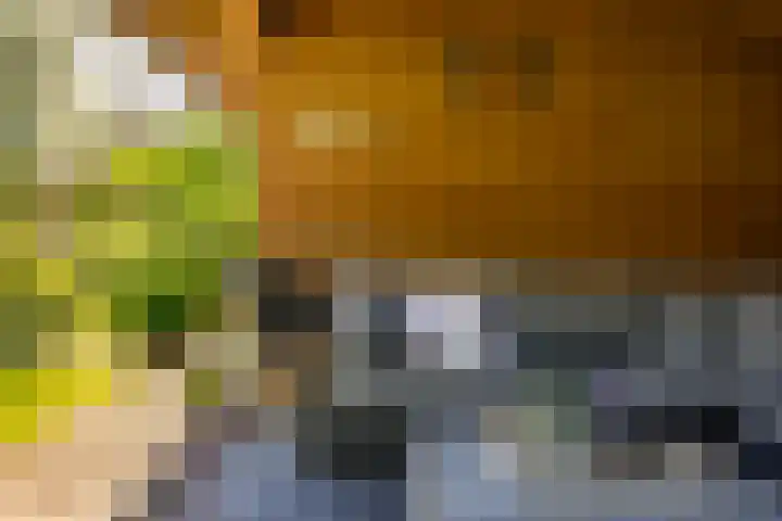 Poldermolenlaan 11 Lochem thumbnail 37
