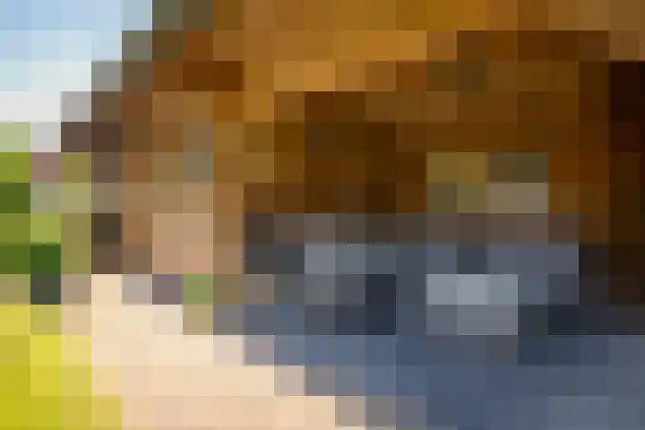 Poldermolenlaan 11 Lochem thumbnail 4