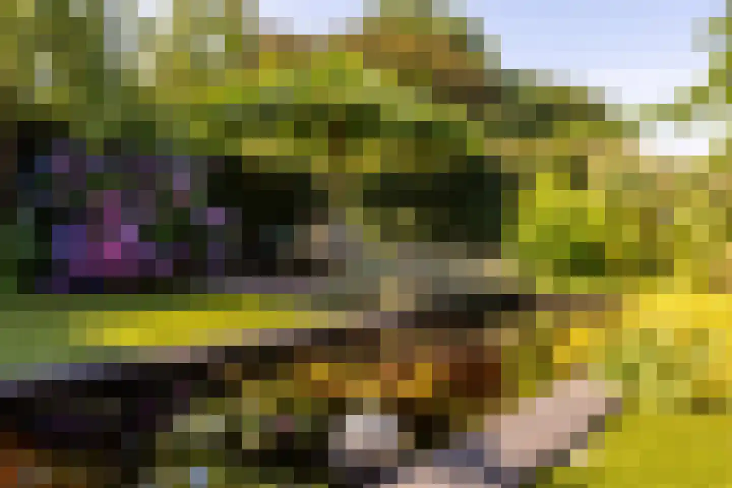 Poldermolenlaan 7 IJsselstein thumbnail 38