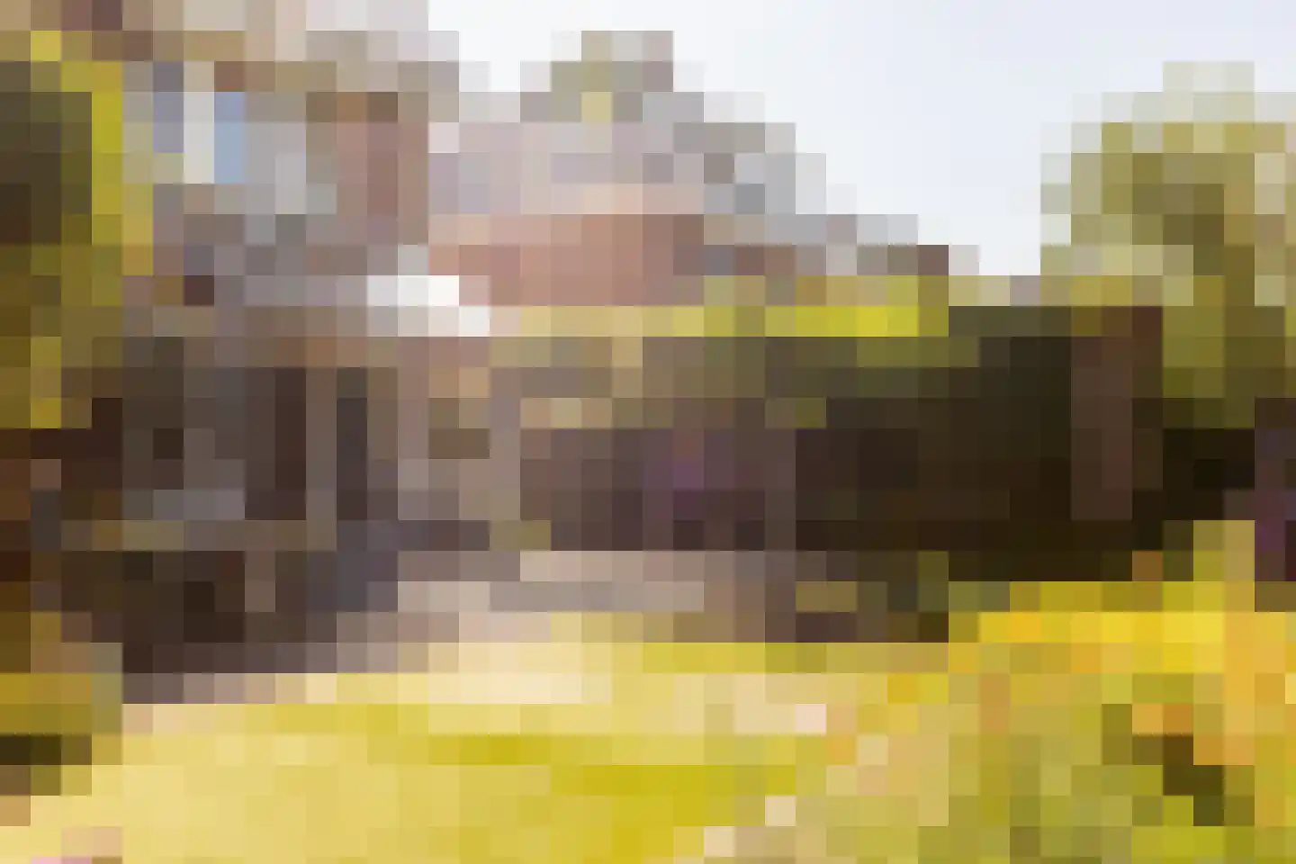 Poldermolenlaan 7 IJsselstein thumbnail 47