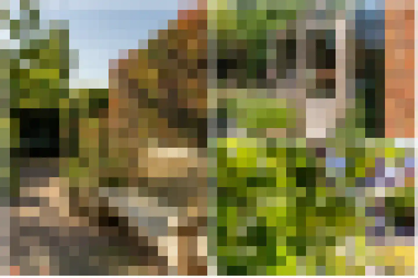 Poldermolenlaan 7 IJsselstein thumbnail 48
