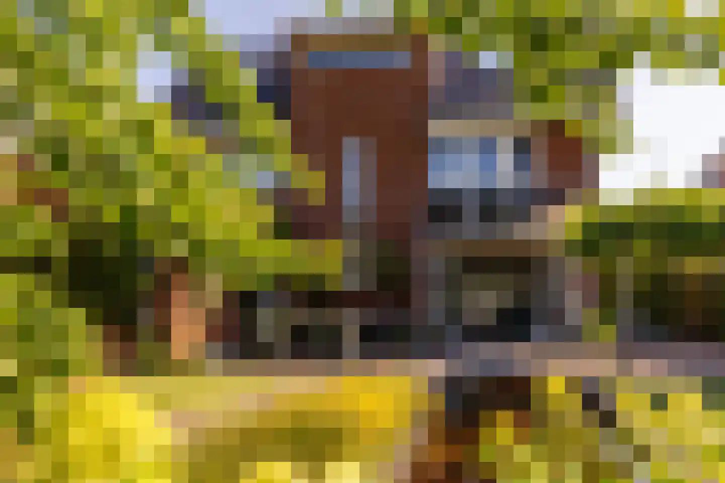 Poldermolenlaan 7 IJsselstein thumbnail 49