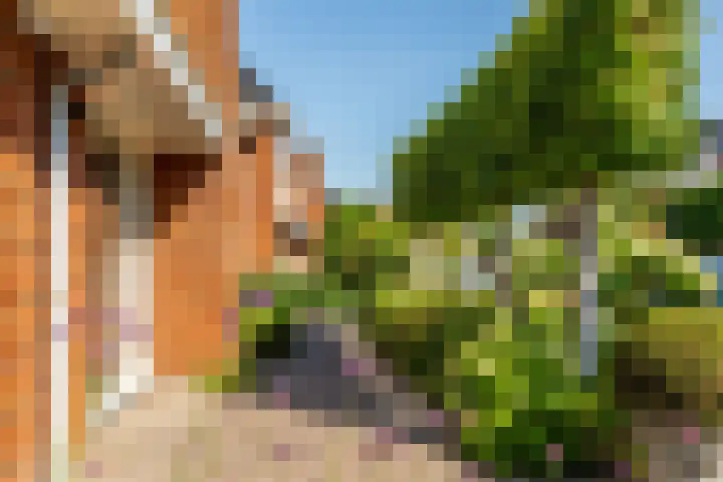 Poldermolenlaan 7 IJsselstein thumbnail 53
