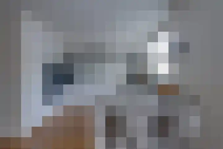 Poldermolenlaan 9 Lochem thumbnail 11