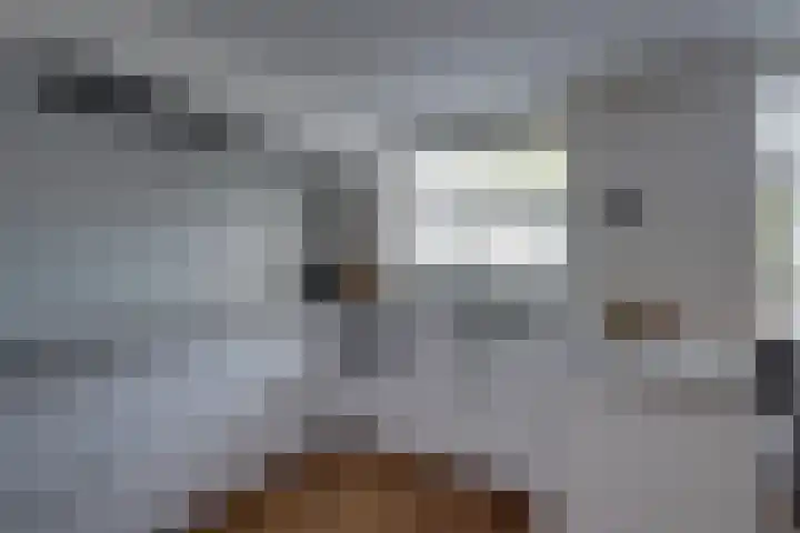 Poldermolenlaan 9 Lochem thumbnail 12