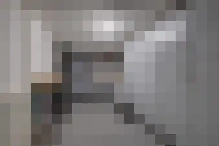 Poldermolenlaan 9 Lochem thumbnail 13