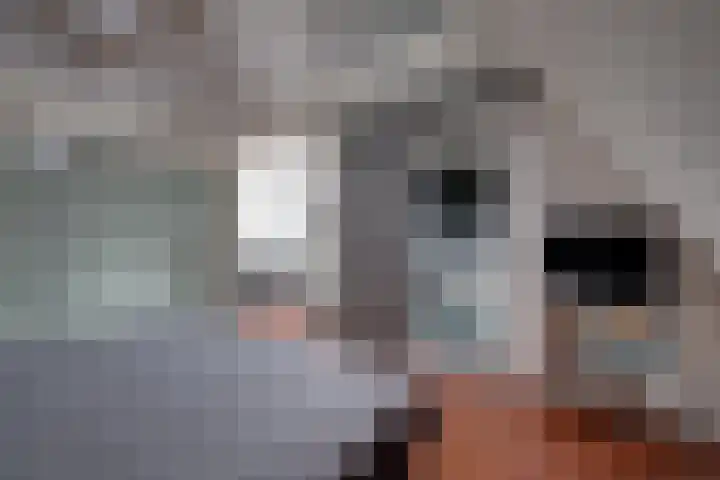 Poldermolenlaan 9 Lochem thumbnail 17