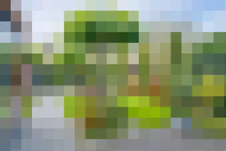 Poldermolenlaan 9 Lochem thumbnail 25