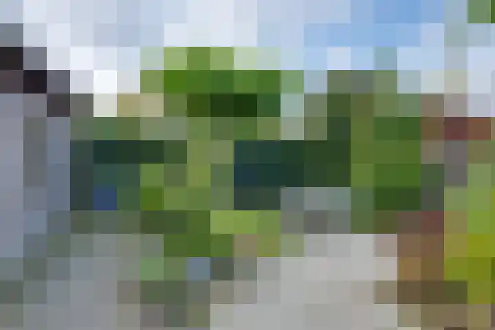 Poldermolenlaan 9 Lochem thumbnail 27