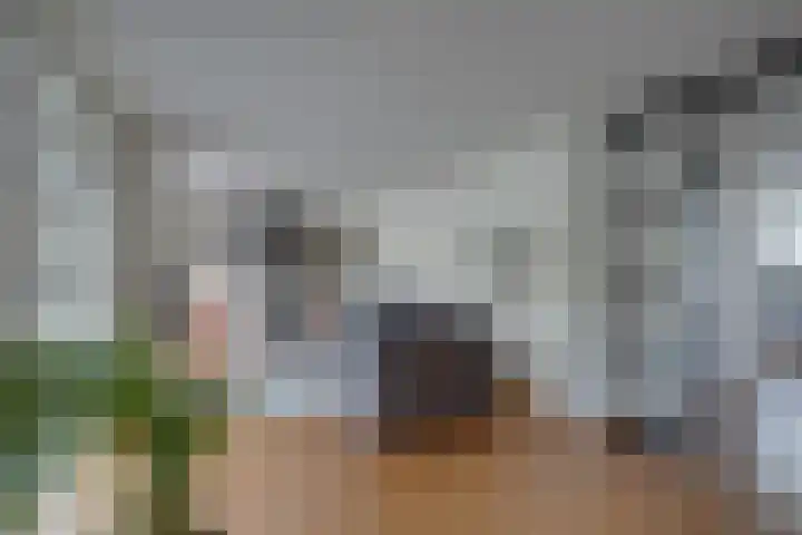Poldermolenlaan 9 Lochem thumbnail 4