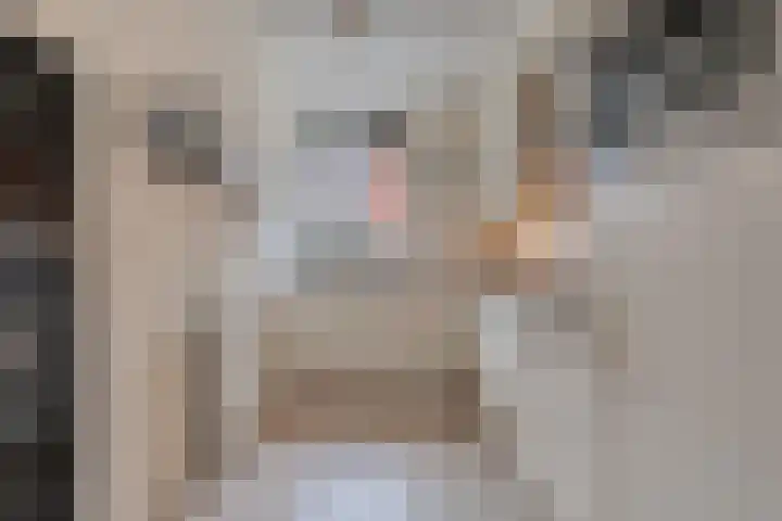 Poldermolenpad 10 Zwolle thumbnail 14