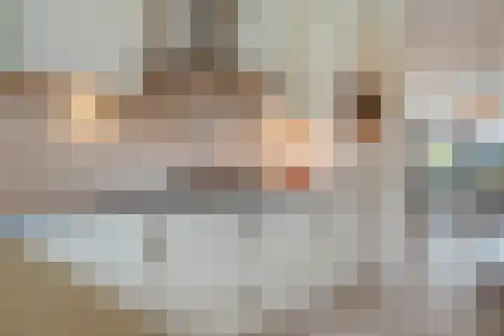 Poldermolenpad 10 Zwolle thumbnail 16