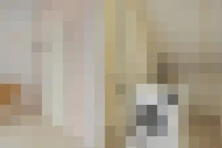 Poldermolenpad 10 Zwolle thumbnail 31