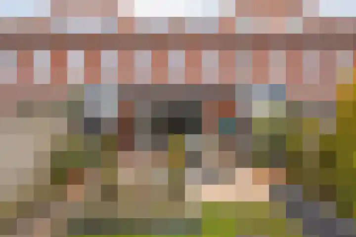 Poldermolenpad 10 Zwolle thumbnail 34