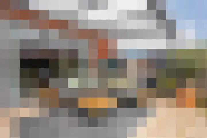 Poldermolenpad 10 Zwolle thumbnail 35