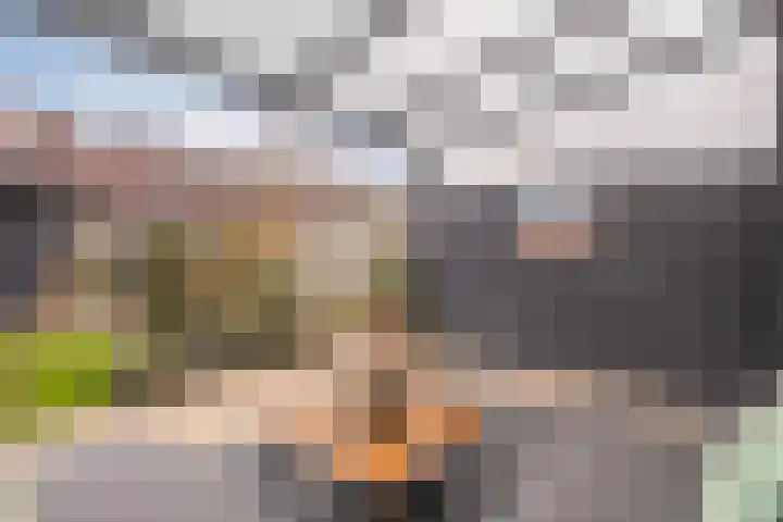 Poldermolenpad 10 Zwolle thumbnail 36