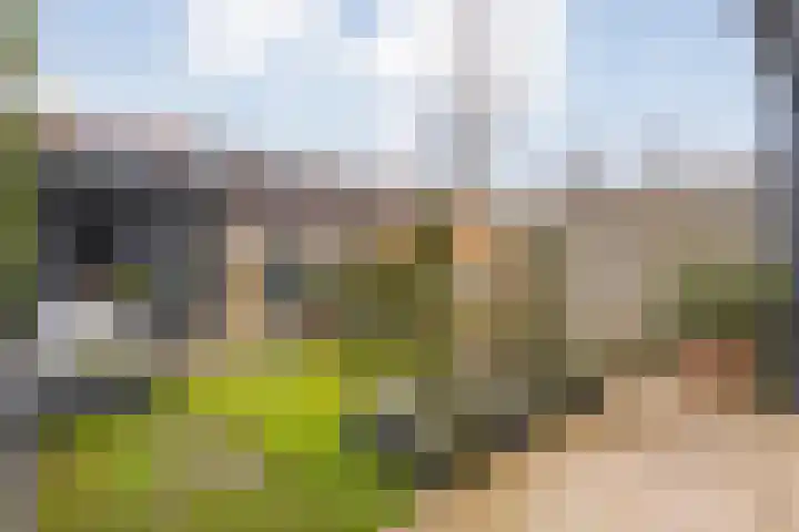 Poldermolenpad 10 Zwolle thumbnail 37
