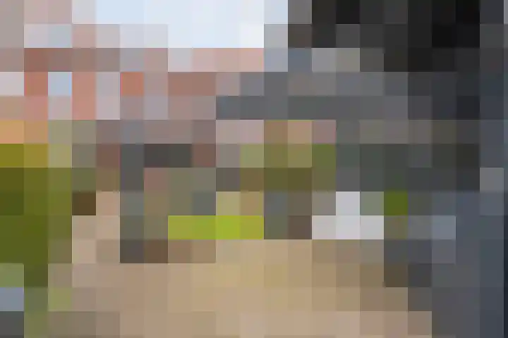 Poldermolenpad 10 Zwolle thumbnail 38