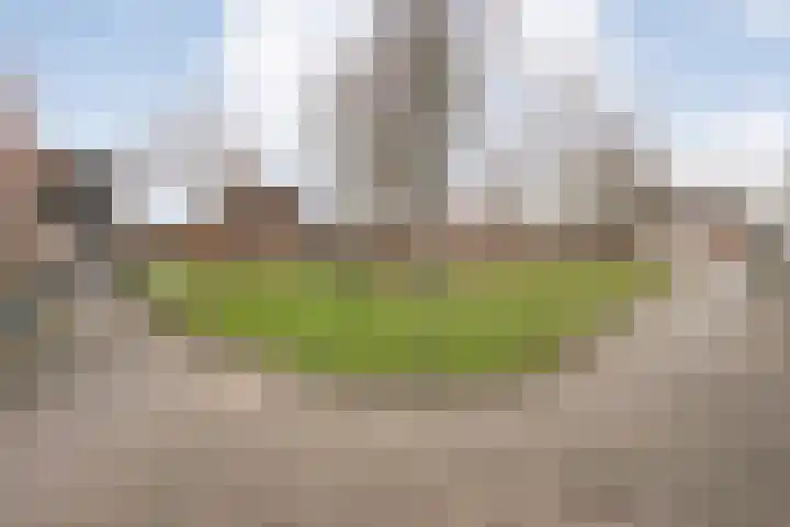 Poldermolenpad 10 Zwolle thumbnail 42