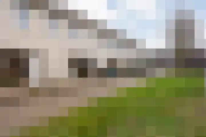 Poldermolenpad 10 Zwolle thumbnail 43