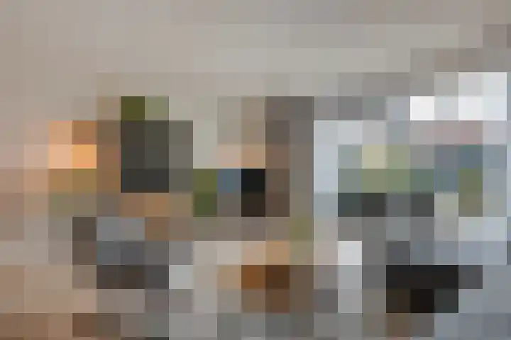Poldermolenpad 10 Zwolle thumbnail 5