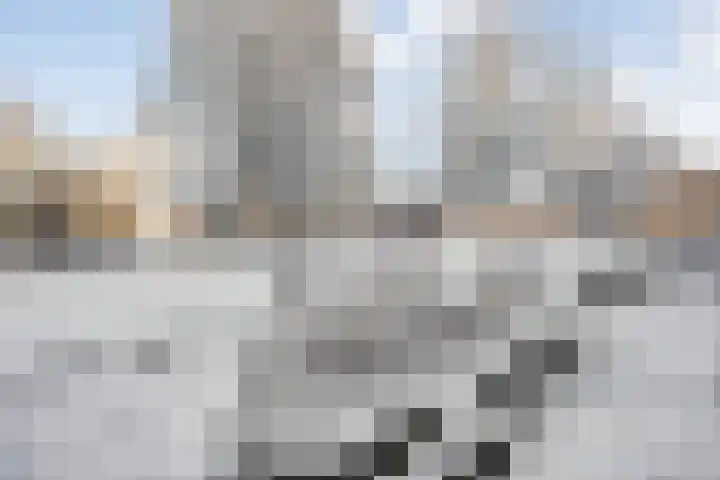 Poldermolenpad 20 Zwolle thumbnail 10